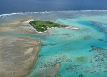 Coral bleaching on Australia’s Great Barrier Reef reaches ‘catastrophic’ levels, study finds
