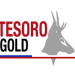Wide High Grade Gold Intercepts at El Zorro