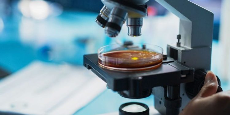 Biotech Market Forecast: Top Trends for Biotech in 2025