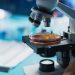Biotech Market Forecast: Top Trends for Biotech in 2025