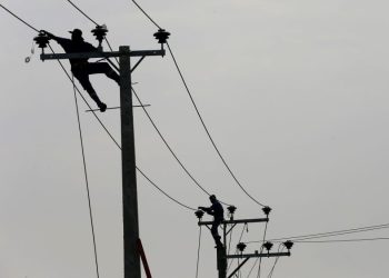 Monkey blamed for nationwide blackout as Sri Lanka scrambles to restore power