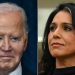 Gabbard says Biden admin ignored ‘highly inappropriate’ chats happening at national security agencies