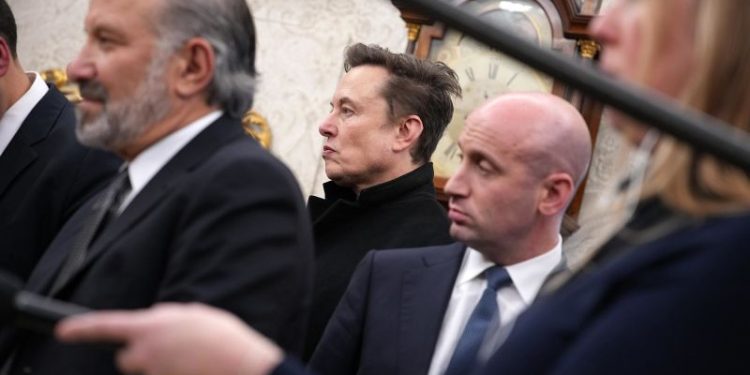 Canadian petition to revoke Elon Musk’s citizenship gathers more than 250,000 signatures