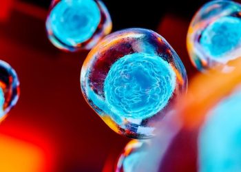 Stem Cell Stocks: 10 Biggest NASDAQ Companies in 2025