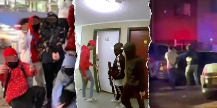 Trump State Department declares Tren de Aragua, MS-13, Mexican drug cartels as foreign terrorist organizations