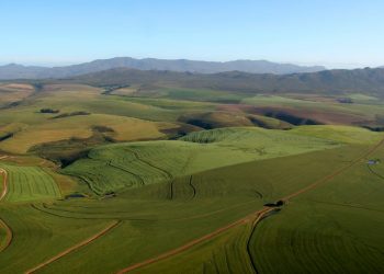 South Africa does have a history of racist land inequality. Just not in the way Trump and Musk are portraying