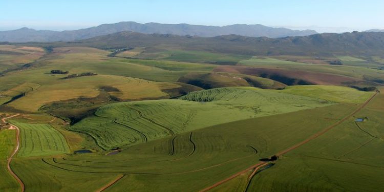 South Africa does have a history of racist land inequality. Just not in the way Trump and Musk are portraying