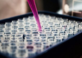 Amgen, Merck and Pfizer Release Latest Quarterly Earnings, Share 2025 Plans