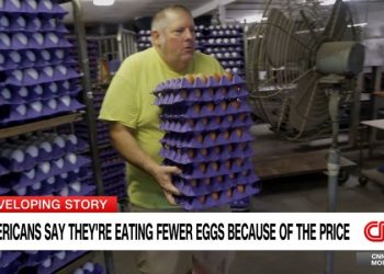 As egg prices soar, US Customs and Border Protection cracks down on egg smuggling