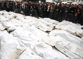 50,000 killed in Gaza since start of Israel-Hamas war, health ministry says