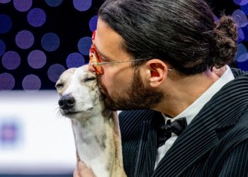 Italian whippet called Miuccia is top pooch at world’s biggest dog show