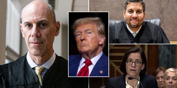 Can Congress defund federal courts with key Trump budget process?