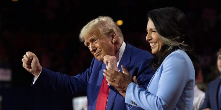 Tulsi Gabbard thanks Trump for ‘unwavering leadership’ in Oval Office clash with Zelenskyy