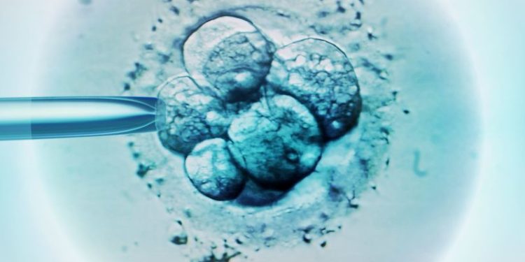 Woman gives birth to another couple’s child after IVF mix-up