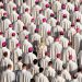 Cardinals prepare to battle over the future direction of the Catholic Church