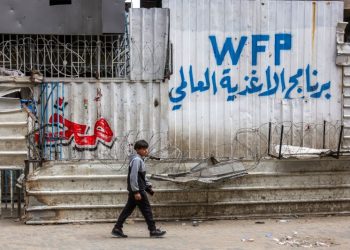 Bakeries close across Gaza as World Food Programme warns food supplies are set to run out in two weeks