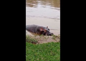 Death toll from a boat capsizing in Congo earlier this week rises to 148, officials say