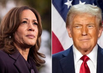 Dems drop $20M on bizarre ‘American men’ strategy plan study in effort to dig out of 2024 political hole