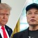 LIZ PEEK: Musk throws his own party because he’s mad at President Trump