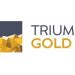 Triumph Gold’s Executive Chairman Discusses Utah Silver-Gold Acquisition and Exploration Strategy in New INN CEO Insights Interview