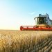 Top 10 Phosphate Countries by Production