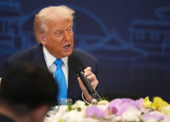 Trump reveals Xi Jinping meeting timeline while discussing Kim Jong Un relations in South Korea