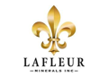 LaFleur Minerals Inc.Emerging Among Peers as Attractive, Resilient Investment Play