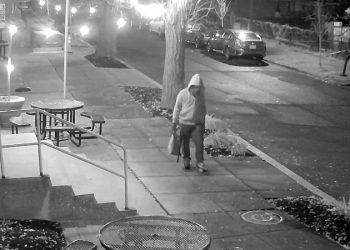 Who is Brian Cole Jr, the DC pipe bomb suspect?