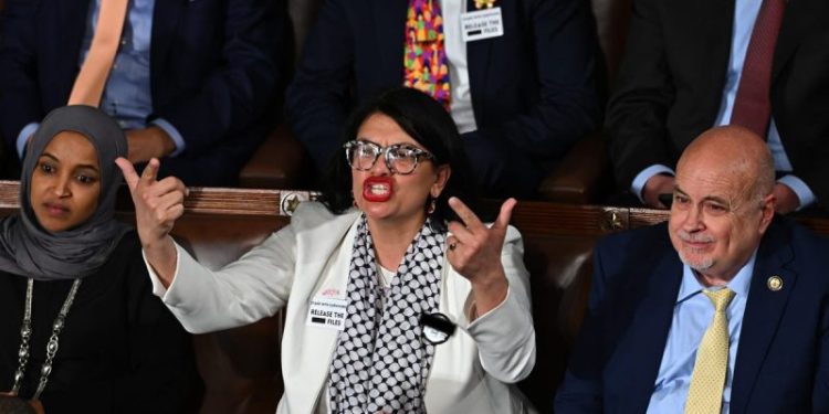 ‘Squad’ member wears ‘F— ICE’ pin on House floor during Trump address