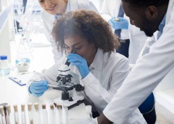 Gilead to Acquire Arcellx in US$7.8 Billion Bet on Cancer Therapy