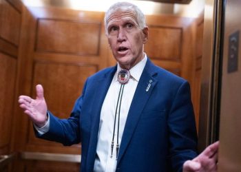 MIKE DAVIS: Red-state senators must pick up the pace to get Trump judges confirmed