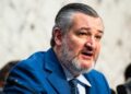 Cruz says winning AI race against China is ‘single most important economic question’ for America