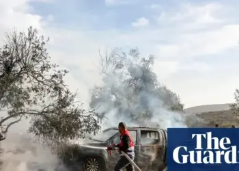 Olive Harvest Turns Bloody As Settler Violence Escalates In West Bank