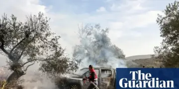 Olive Harvest Turns Bloody As Settler Violence Escalates In West Bank